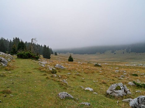 Prairie de Darbounouse, la piste des charbonniers