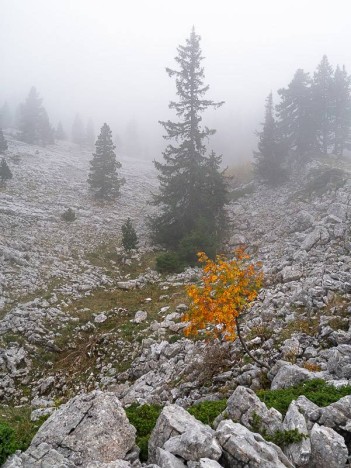 Brouillard d'automne sur le Purgatoire