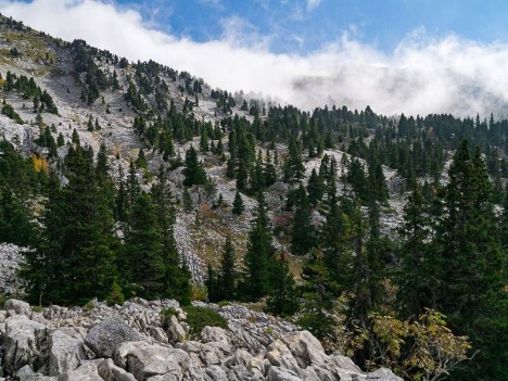 À travers le paysage du Purgatoire, la doline 1683