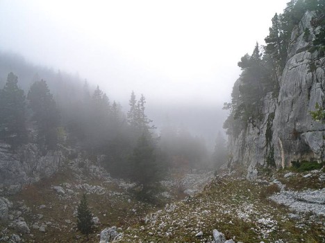 Broullard sur la Draye des Bergers