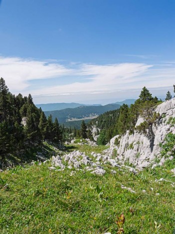 La Draye des Bergers