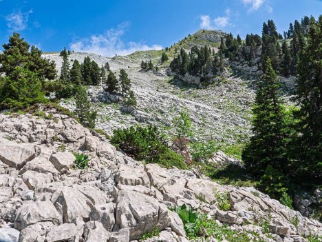Sous les crêtes des Rochers du Ranc Traversier