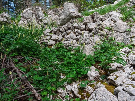 Muret en remblai sur le chemin du Purgatoire