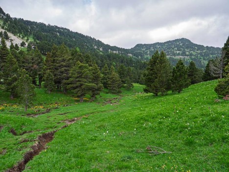 Combe Chevalière, le ruisseau de Sourdy